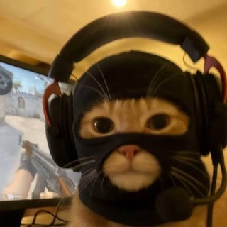 Telegram profile photo for VINCENZO'S AGENCY