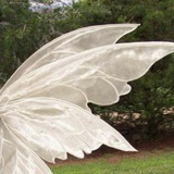 Telegram profile photo for fairies's testi