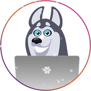 Telegram profile photo for SW_SARATOV_LIVESTORE