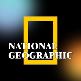 Telegram profile photo for National Geographic