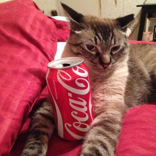 Telegram profile photo for COCACOLA PUBG🇷🇺