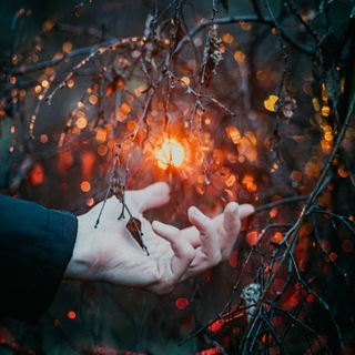 Telegram profile photo for Фотограф Москва Мытищи | Полина Румянцева