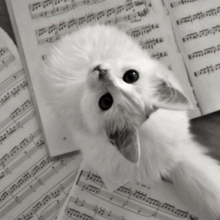 Telegram profile photo for Просто Милка 🌸