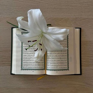 Telegram profile photo for - مُواساة .