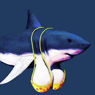 Telegram profile photo for в море с акулосисем🌾