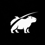 Telegram profile photo for Grokkybara