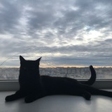 Telegram profile photo for лудка черныша и лешика
