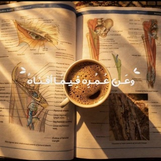 Telegram profile photo for Medline (FYM Doctors 2027-2031) 🩺