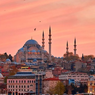 Telegram profile photo for Talaba Xizmat