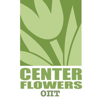 Telegram profile photo for CENTER FLOWERS 🌷 Тюльпаны и посадочный опт