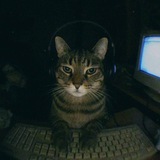 Telegram profile photo for MemeCodein