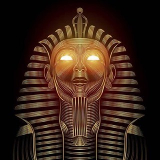 Telegram profile photo for Floyd Calls