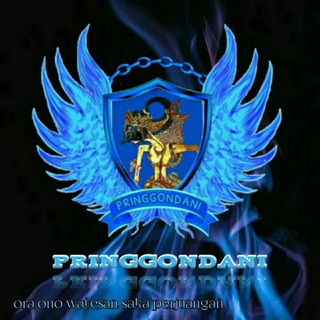 Telegram profile photo for ATB PRINGGONDANI