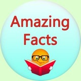 Telegram profile photo for Amazing facts