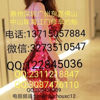 Telegram profile photo for 惠州修车约炮群3