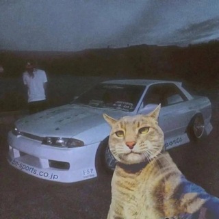 Telegram profile photo for 金玉收粉频道