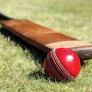 Telegram profile photo for Cricket Quiz