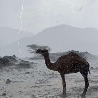Telegram profile photo for منصور الجهني⛈️📸