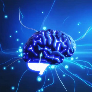 Telegram profile photo for Brainstorm Alphas