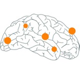 Telegram profile photo for NEURONprocessing
