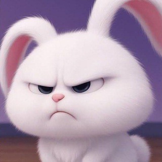 Telegram profile photo for โค๏ธโ๐ฉน