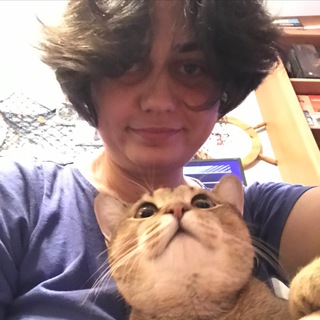 Telegram profile photo for Про бобра, кота и Бэкки