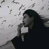 Telegram profile photo for 郑润泽的致富之路