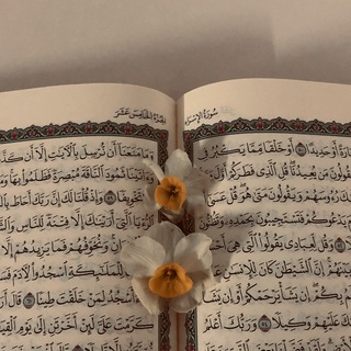 Telegram profile photo for _Quran_bliss_