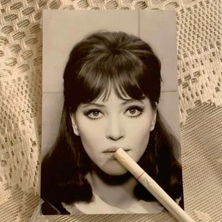 Telegram profile photo for آبیتریننارنجی