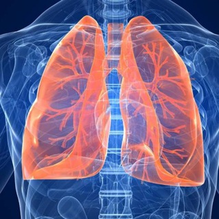 Telegram profile photo for Respiratory step 2 videos 2026