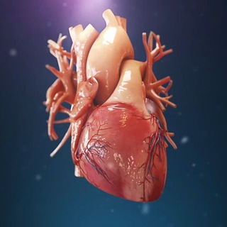 Telegram profile photo for Medical Study