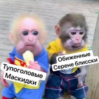 Telegram profile photo for +176 𝘚𝘌𝘙𝘌𝘕𝘌 𝘉𝘓𝘐𝘚𝘚 (conference.)