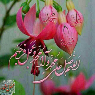 Telegram profile photo for روابط عمومی شبکه بهداشت ودرمان شهرستان تنکابن