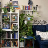 Telegram profile photo for ⤶عشوائيات || ۱٤۱۳هـ 𝑾𝒊𝒔𝒔𝒐'𝑶"♥️🌱⤹