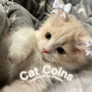 Telegram profile photo for 𝑪𝒂𝒕 𝑪𝒐𝒊𝒏𝒔|Заработок на отзывах