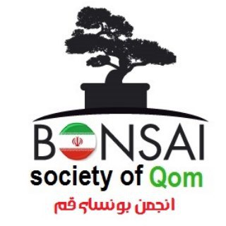 Telegram profile photo for کانال انجمن بونسای قم