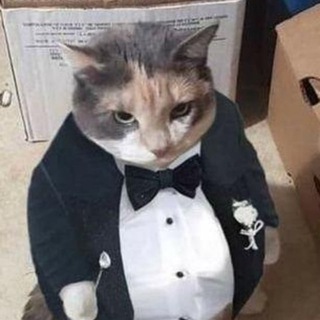 Telegram profile photo for Anthony Tips