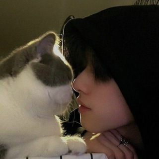 Telegram profile photo for vifn