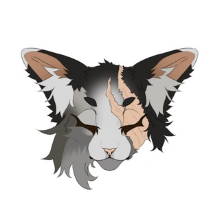 Telegram profile photo for ⋇⋆ by Frogg ☘