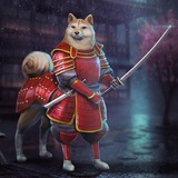 Telegram profile photo for Shōgun Inu