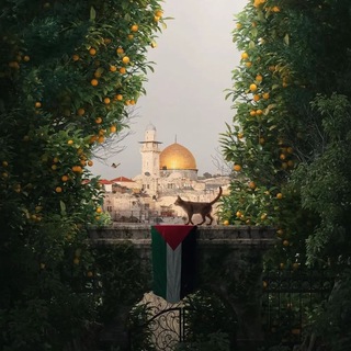 Telegram profile photo for إنَّ مَعَ العُسْرِ يُسْراً