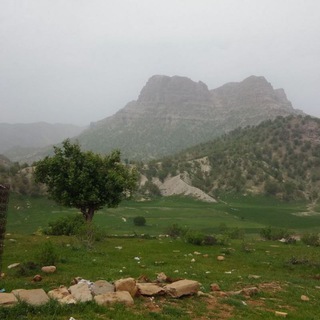 Telegram profile photo for کانال رسمی تیره بزرگ غریبوند،طایفه بزرگ موری( ۹خاندان غریبوند)