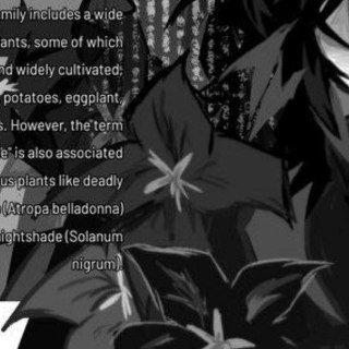 Telegram profile photo for ㅤ ㅤ ㅤ ㅤ ㅤ ㅤ