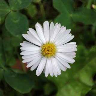 Telegram profile photo for Life and Medicine