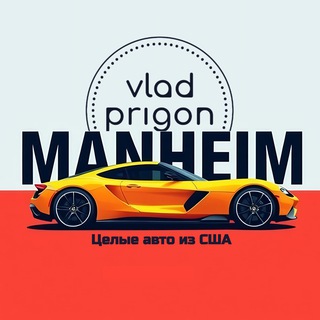 Telegram profile photo for Mаnheim - Целые авто из США
