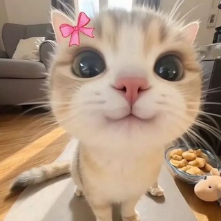 Telegram profile photo for ●|حوالیِ دل|●