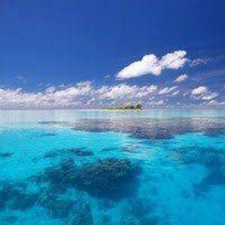 Telegram profile photo for 海外引流对接