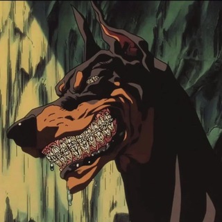 Telegram profile photo for 808