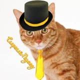 Telegram profile photo for Cheese info