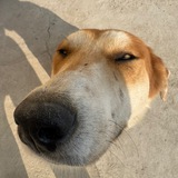 Telegram profile photo for Мемы для всех
